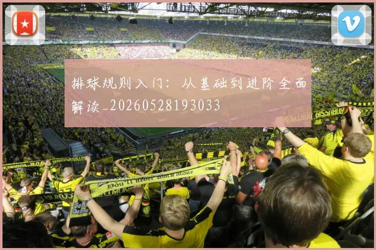 排球规则入门：从基础到进阶全面解读_20260528193033