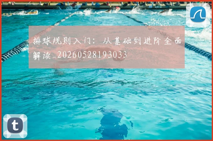 排球规则入门：从基础到进阶全面解读_20260528193033